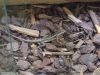 DSCF0716.JPG